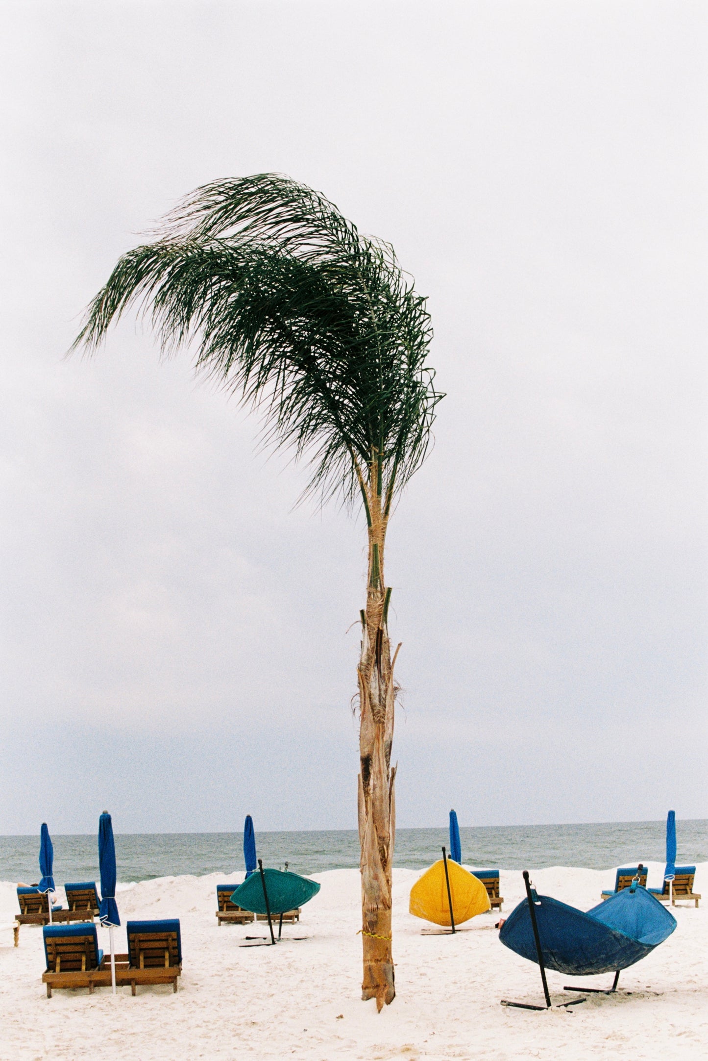 Stormy Beach Weather in Gulf Shores Film Print