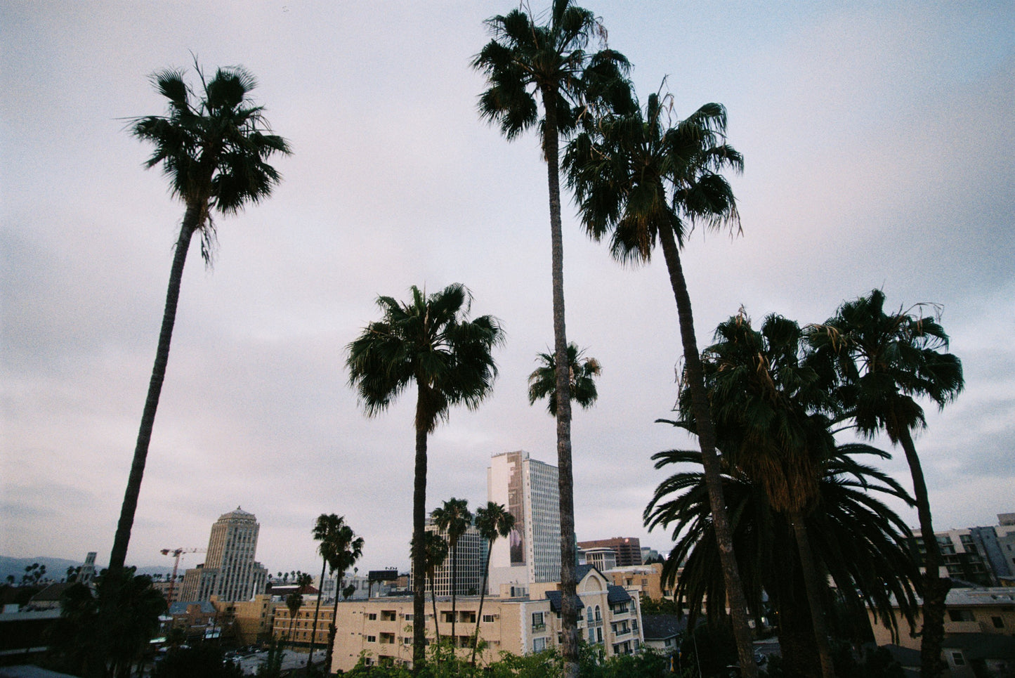 Sunset in Koreatown Film Print