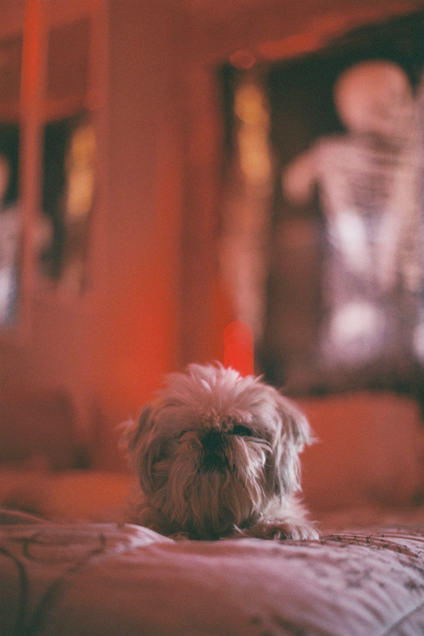 A Good Girl Film Print