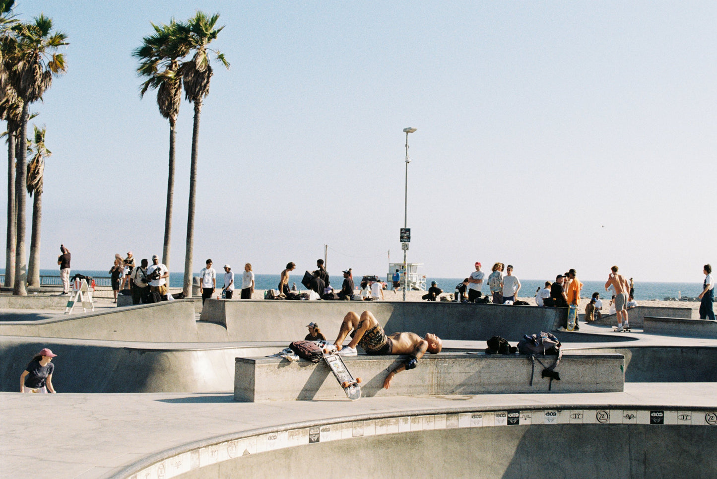 Tired AF Venice Beach Skatepark Film Print
