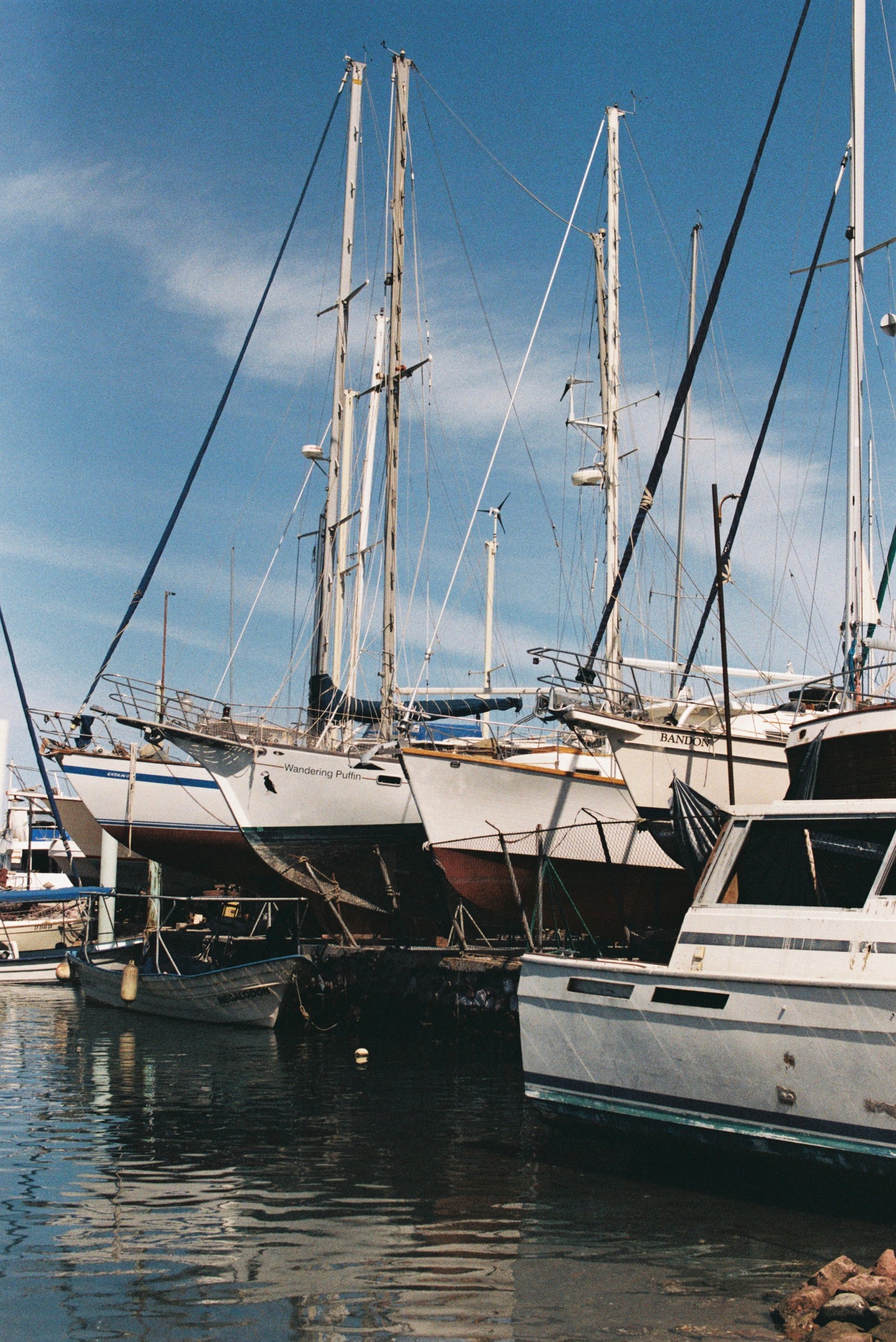 Marina Sailboats in Cabo San Lucas, Mexico Film Print