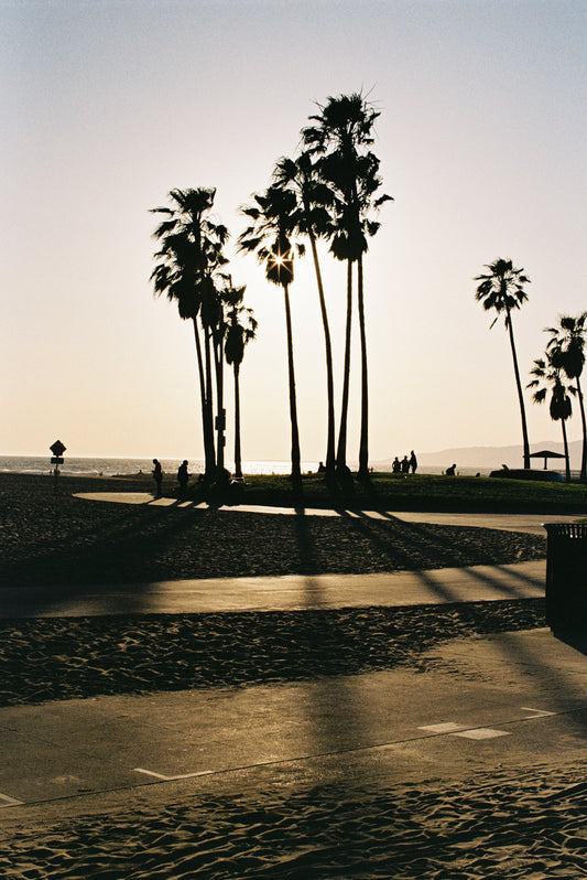 Golden Hour Venice Beach Film Print
