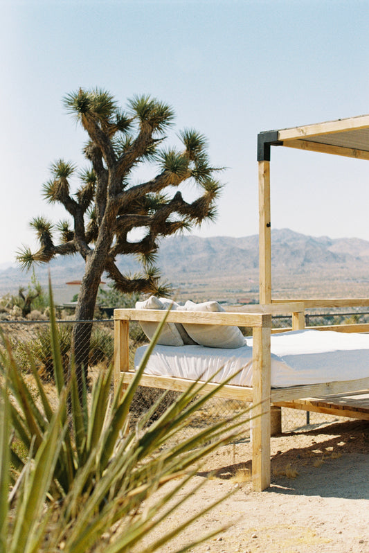Day Bed In Joshua Tree Film Print