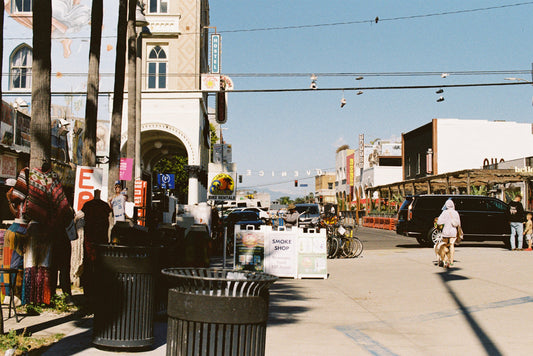 Venice Beach Boardwalk Film Print