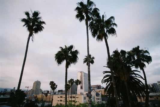 Sunset in Koreatown Film Print