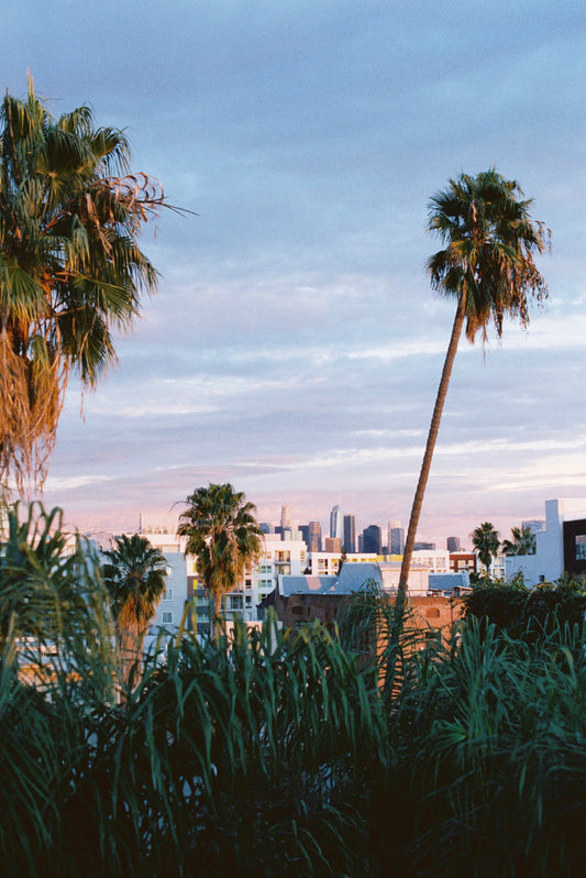 Moody Sunset Skies Film Print