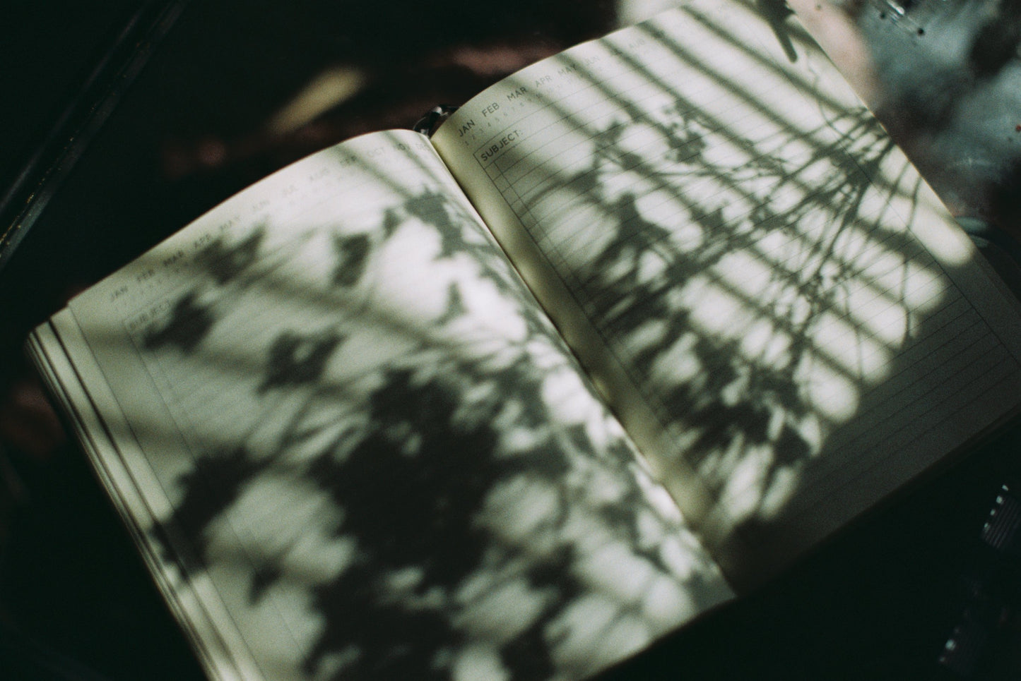 Flower Shadows Film Print