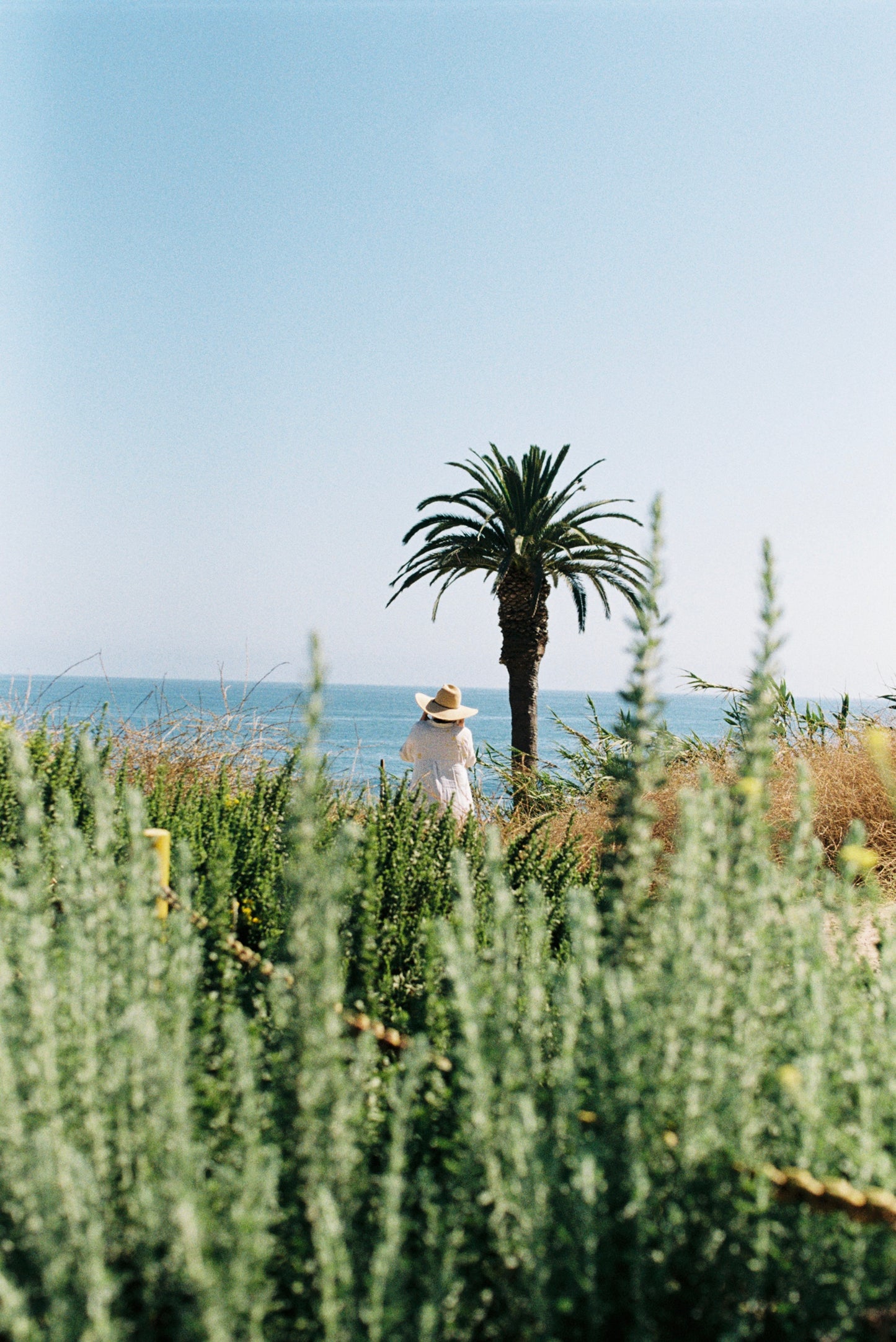 Malibu Beach Woman Film Print