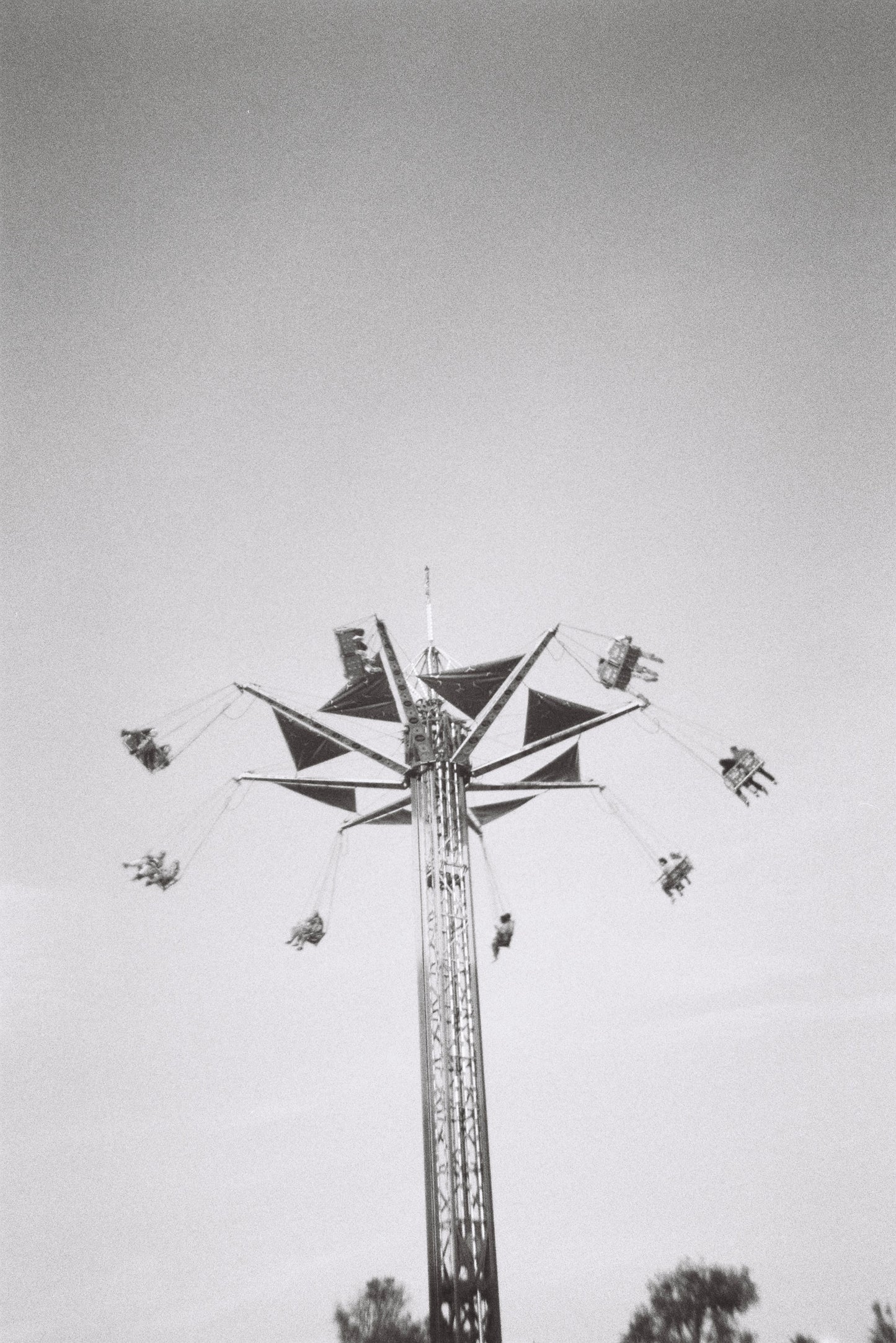 Camp Flog Naw Los Angeles Film Print