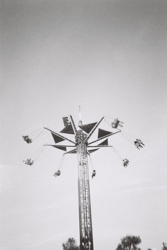 Camp Flog Naw Los Angeles Film Print