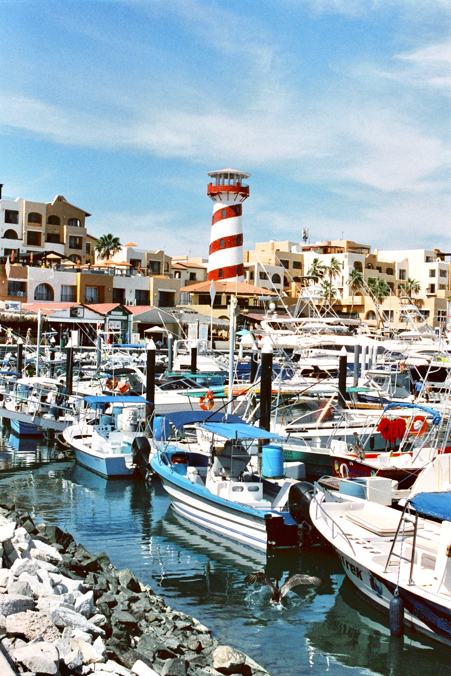 Cabo San Lucas Marina Film Print